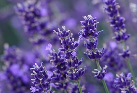 6월 국내 여행지 추천