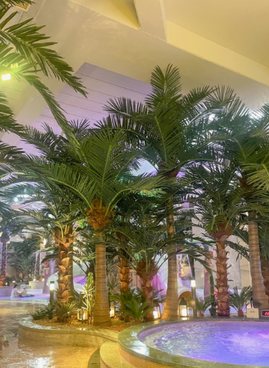 클럽디오아시스 부산