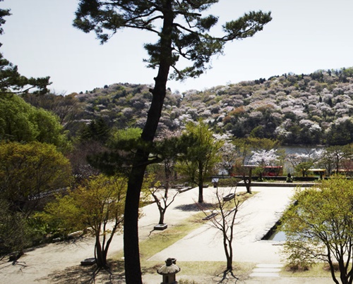 용인 가볼만한곳 이미지 입니다.