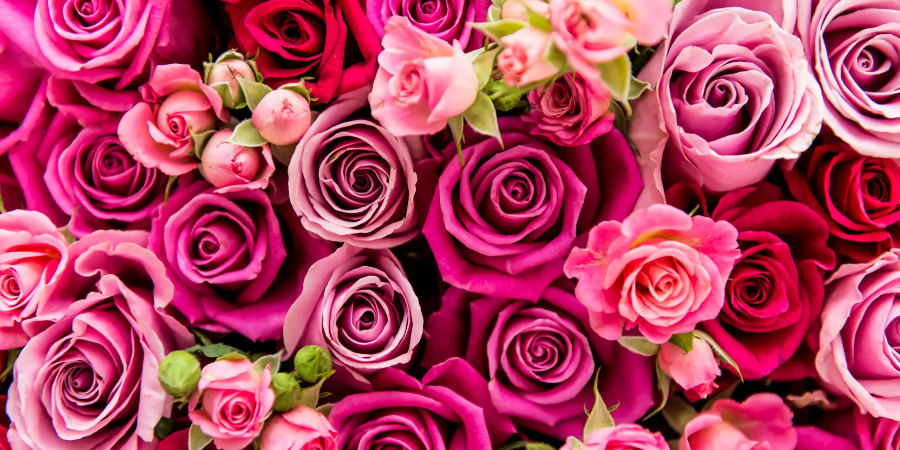 화이트데이의 의미와 유래! 왜 남자가 선물하는 날일까?