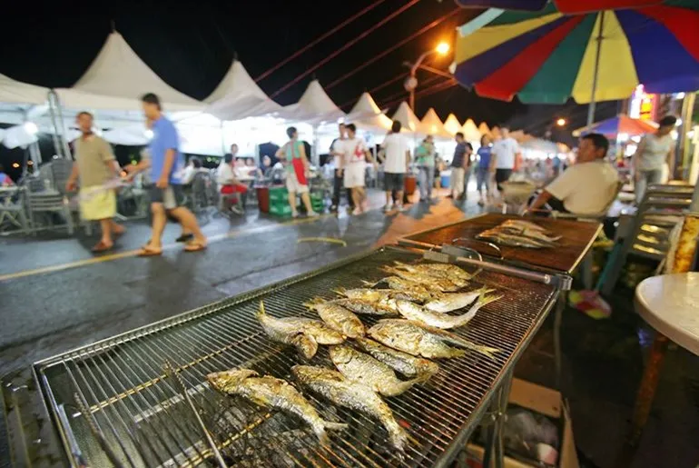 사천 삼천포항 제주도 배편 요금 시간표 차량선적 알아보기 여행정보_5