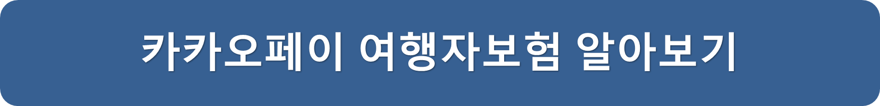 카카페손보여행자보험