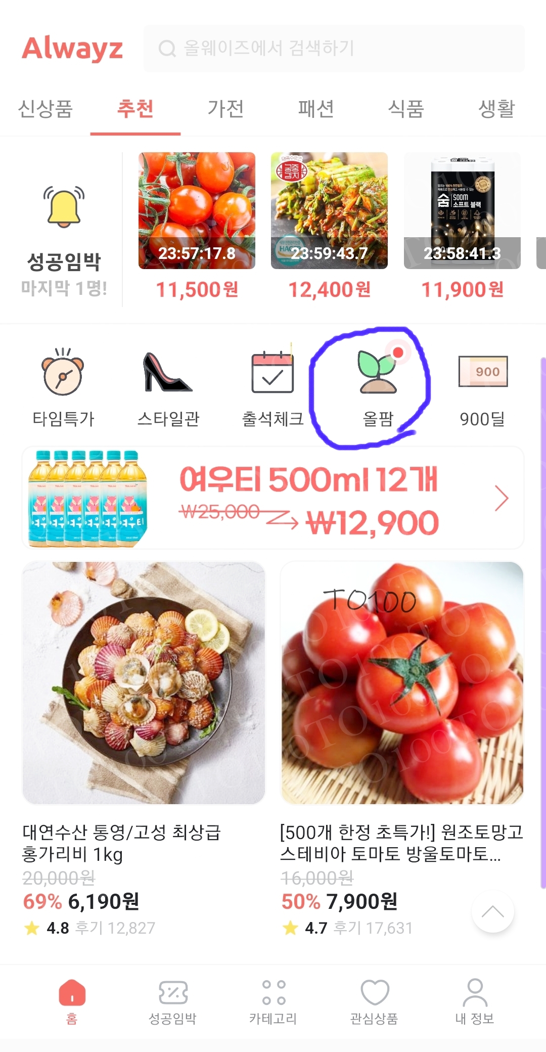 올웨이즈로 체험단