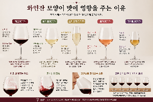 와인잔 모양이 맛에 영향을 주는 이유, 잔에 따라 와인이 다르게 느껴지는 이유