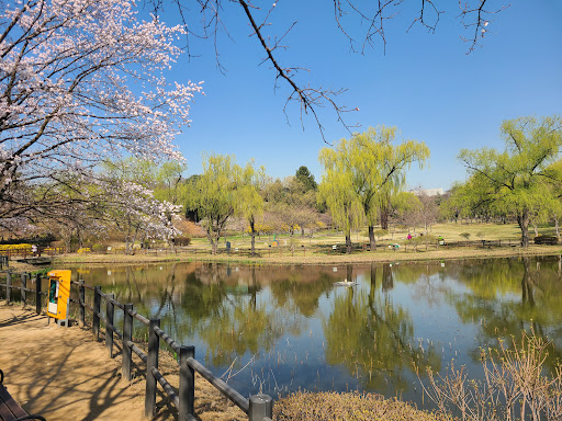 서울 두돌 아기와 함께 갈만한 곳- 용산가족공원