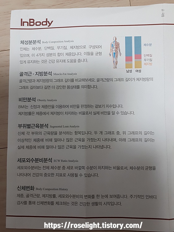 인바디검사-인바디체지방률-체성분검사