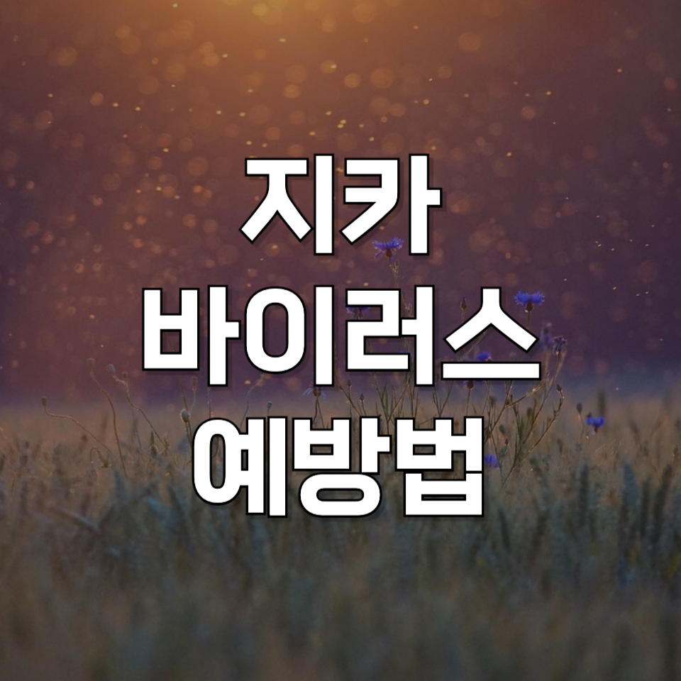 국내 상륙 지카바이러스 증상 완전 정리! 감염 경로와 예방법 지금 바로 확인하기