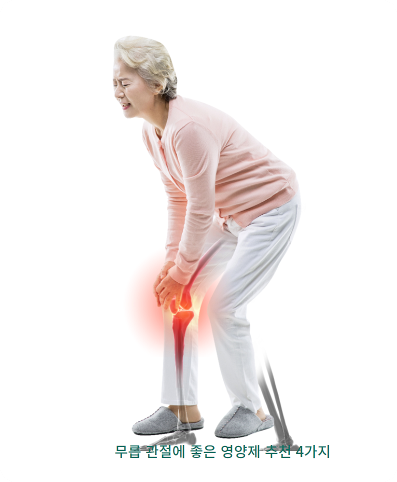 무릅관절에 좋은 영양제 글루코사민