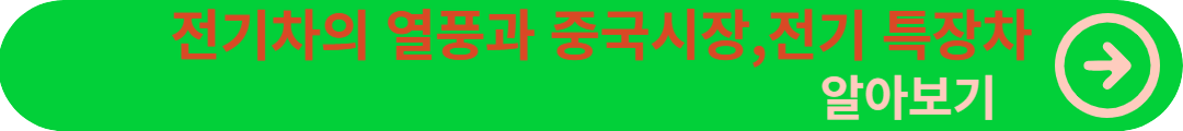 전기차 중국시장