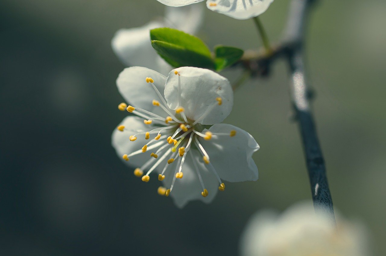 다이소 영업시간 바로 확인 18