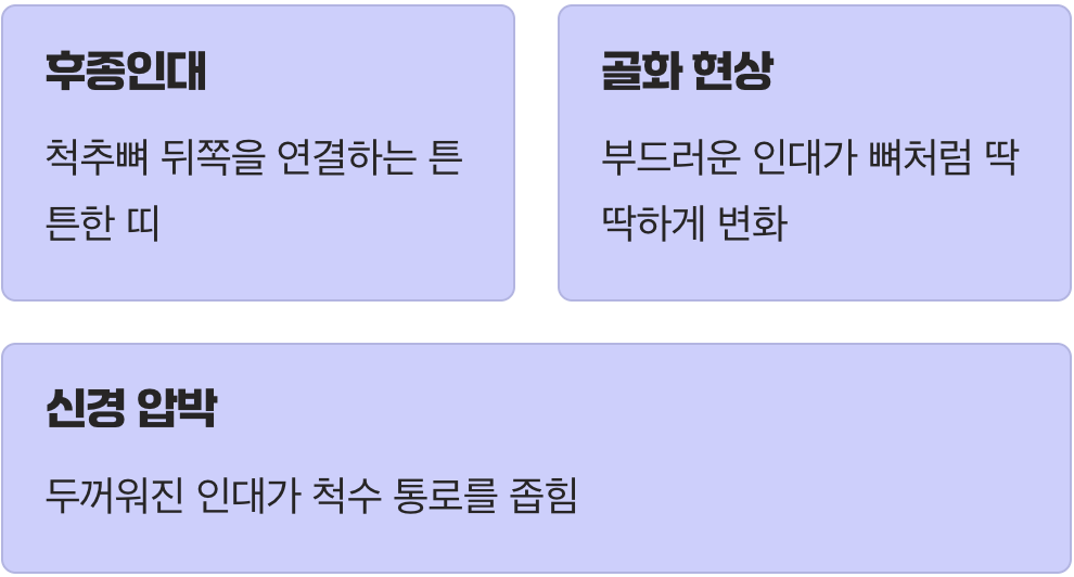 내 목 속의 불청객, 뼈로 변하는 인대
