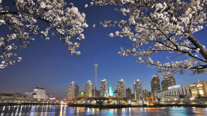 2025년 4월 국내 여행지 추천! 봄꽃과 함께 떠나는 최고의 여행지