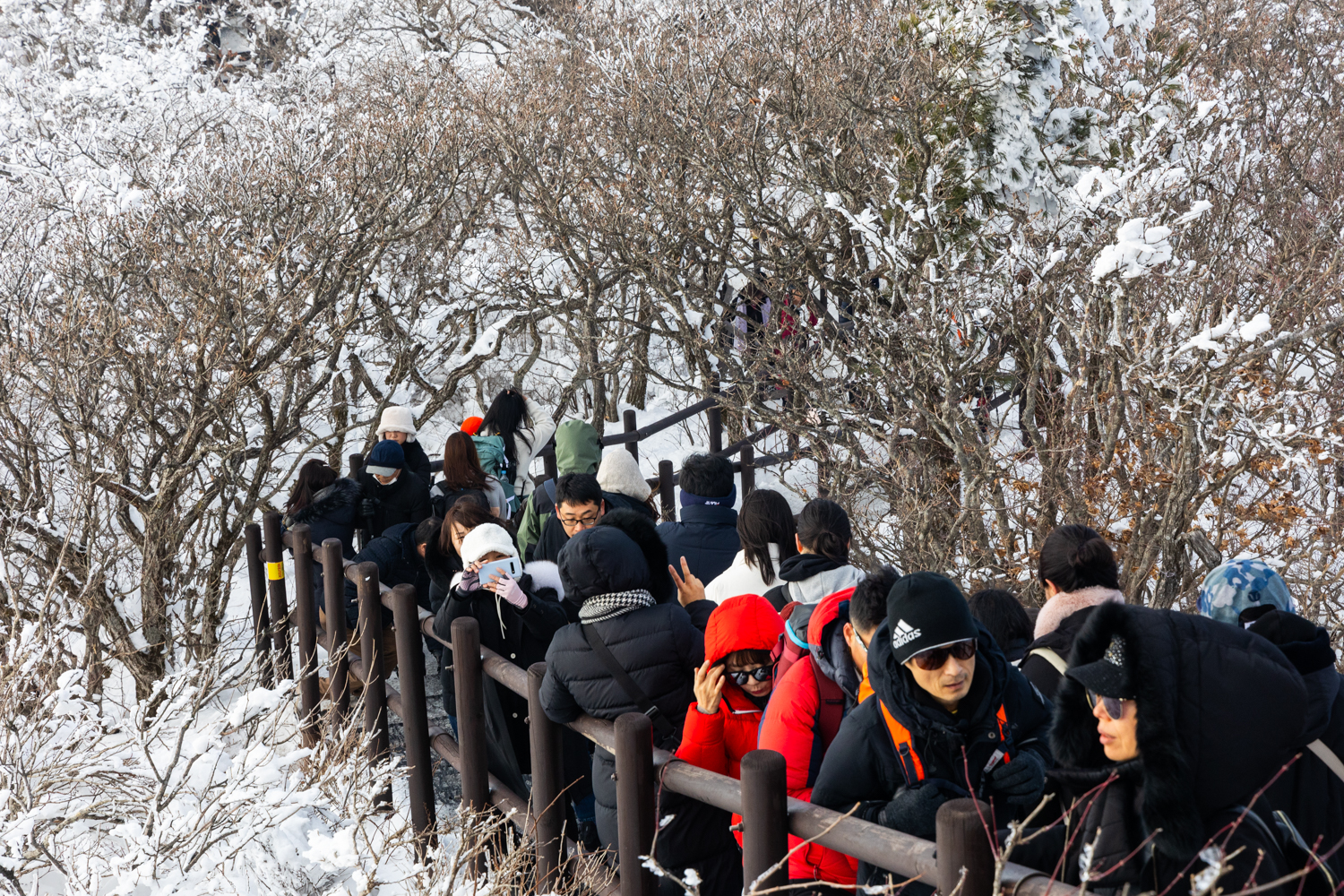 덕유산 눈꽃산행