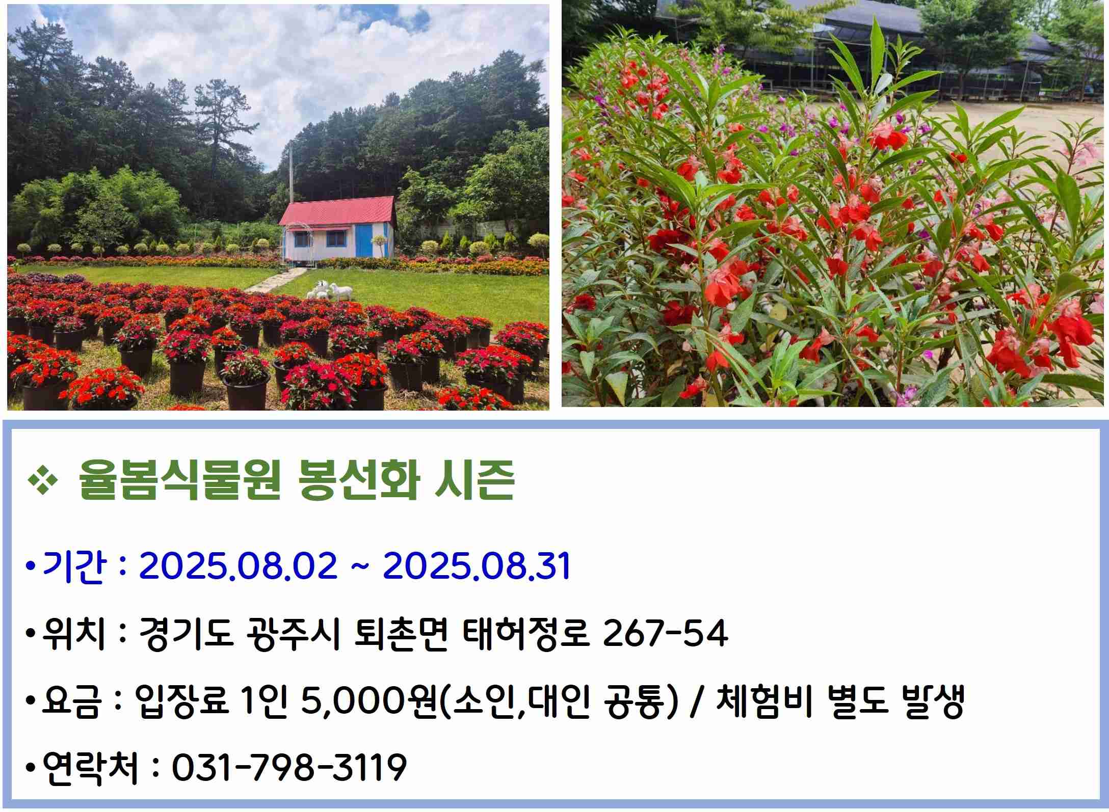 율봄식물원 봉선화 시즌