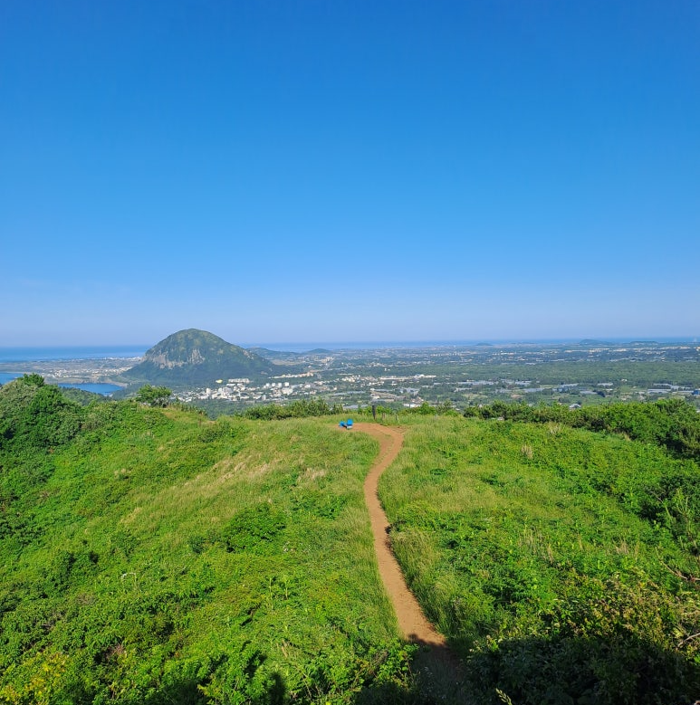 제주도 가면 돈 준다?! 실화