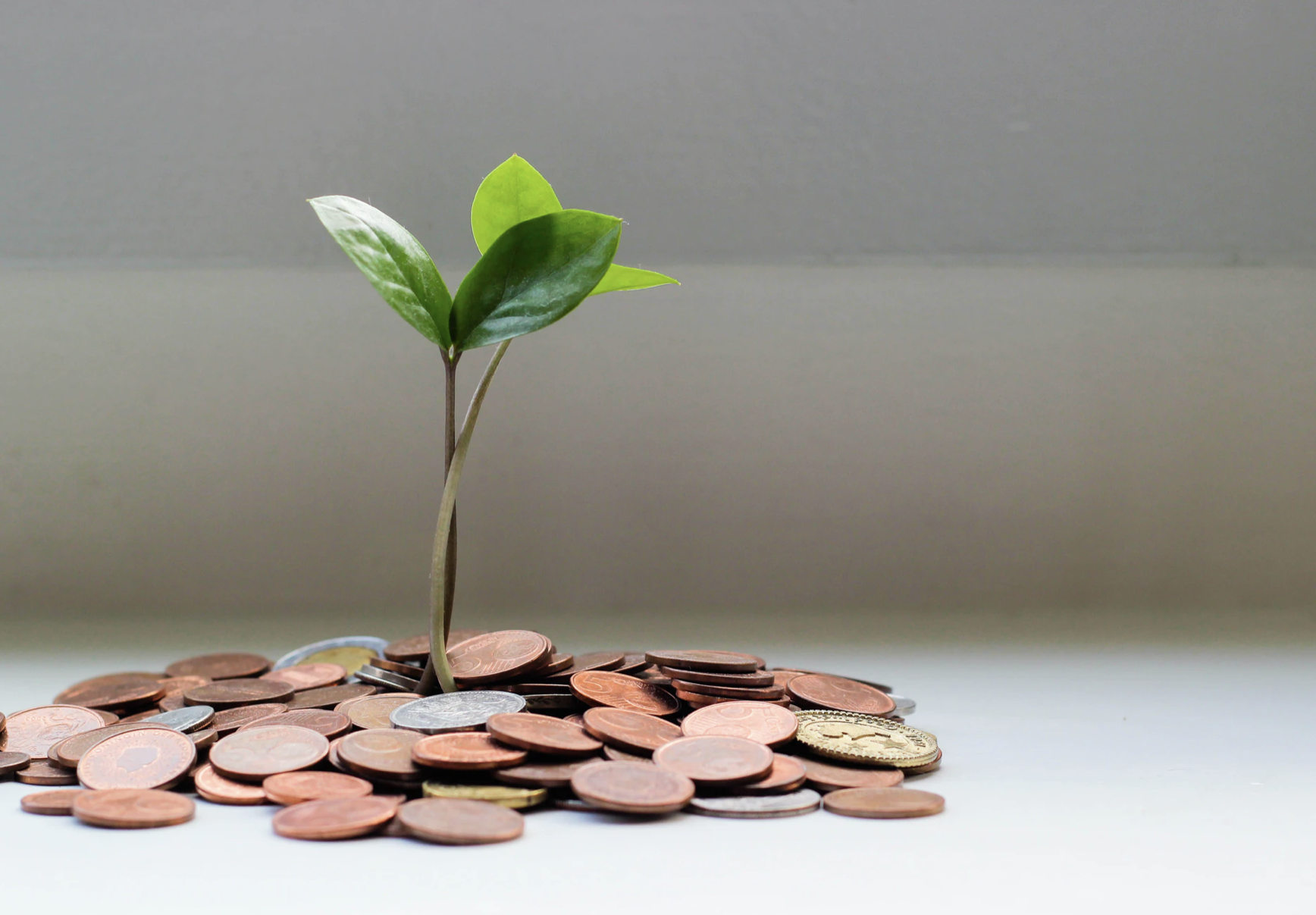 2022청년희망적금신청방법