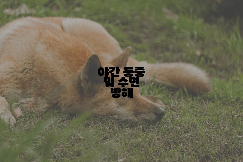 야간 통증 및 수면 방해