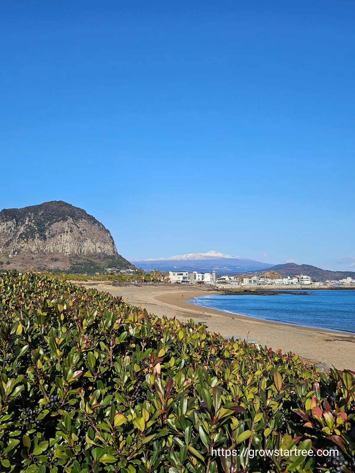 사계해변 뒤에 보이는 산방산과 눈덮인 한라산