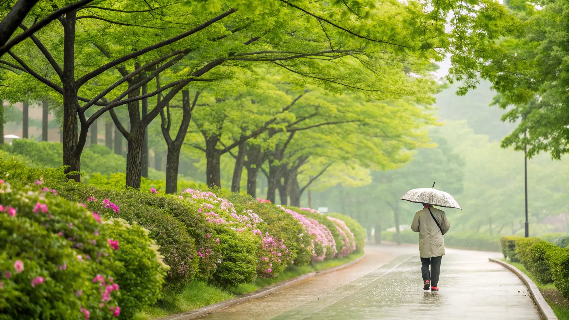 러브버그 왜 이렇게 많아졌을까? 러브버그 출몰 원인부터 효과적인 방제법