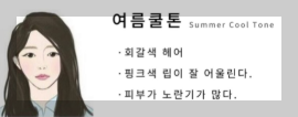 여름 쿨톤 특징