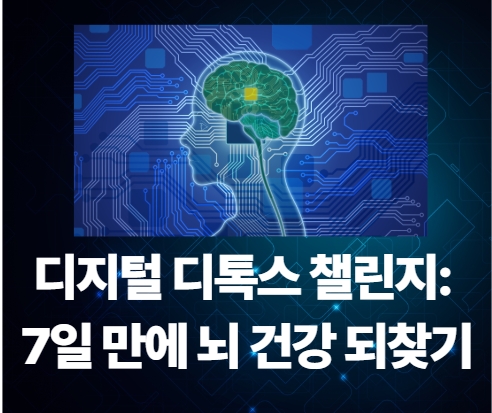 디지털 디톡스 챌린지 7일만에 뇌건강 되찾기