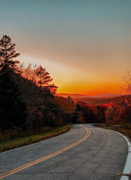꽃보다 여행, 봄에 가기 좋은 국내 드라이브 코스