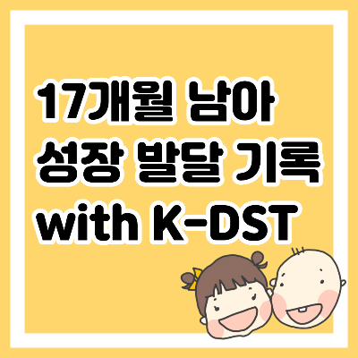 17개월 남자 아기 발달 성장 기록 with 영유아선별검사 K-DST