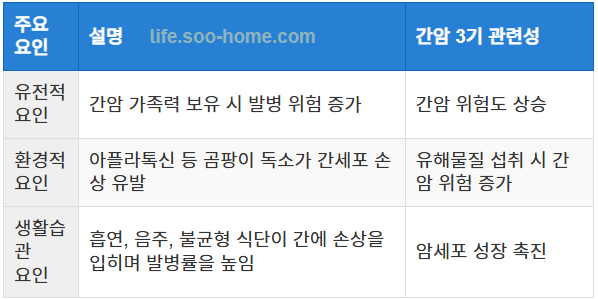 간암 3기 발생에 영향을 미치는 요인