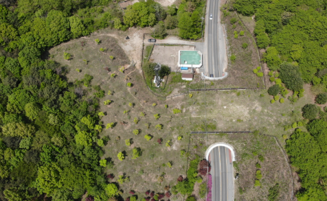 계룡산 생태탐방원 예약 일자 방법