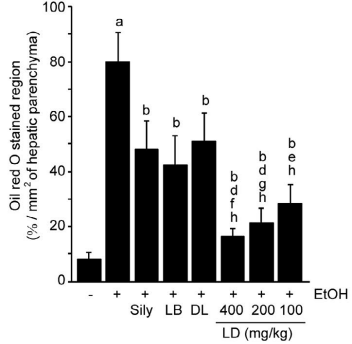 레몬밤단델리온추출물의 간에서의 지방 축적 억제 효능(J Food Biochem. 2020)