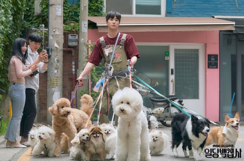 일당백 집사 포토 4