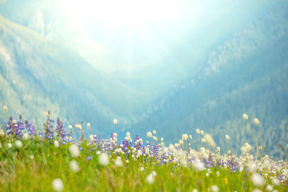 에너지 절약은 우리가 일상적으로 쉽게 실천할 수 있는 친환경 생활의 핵심입니다.