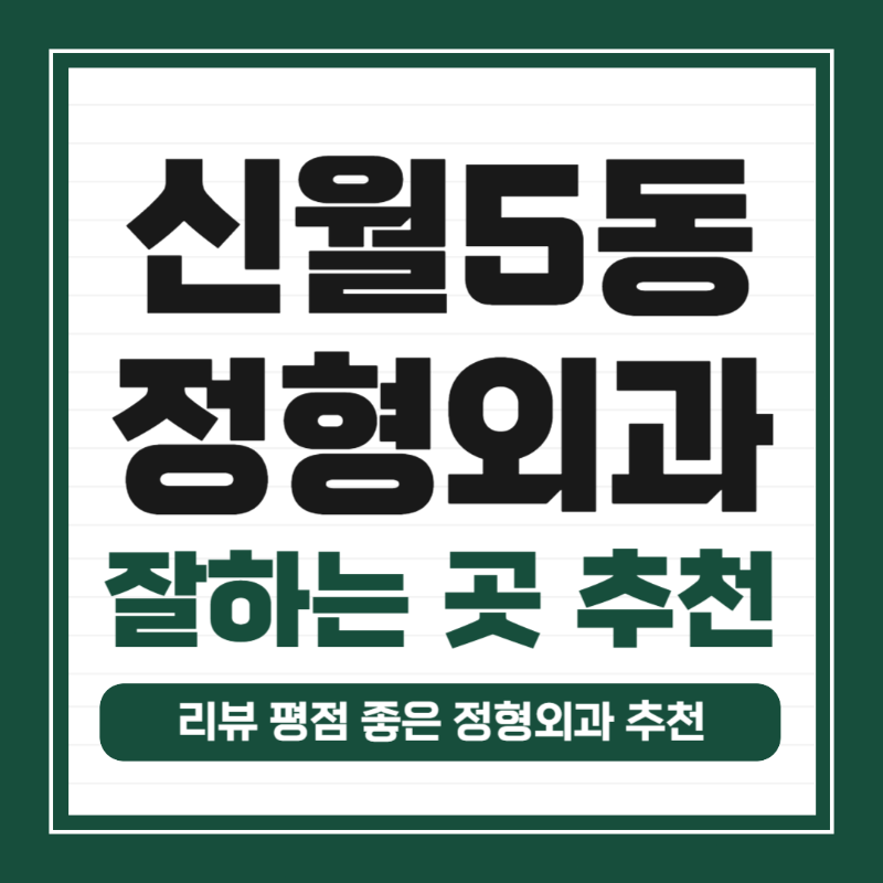 양천구 신월5동 정형외과 유명하고 잘하는 곳 추천 TOP 5