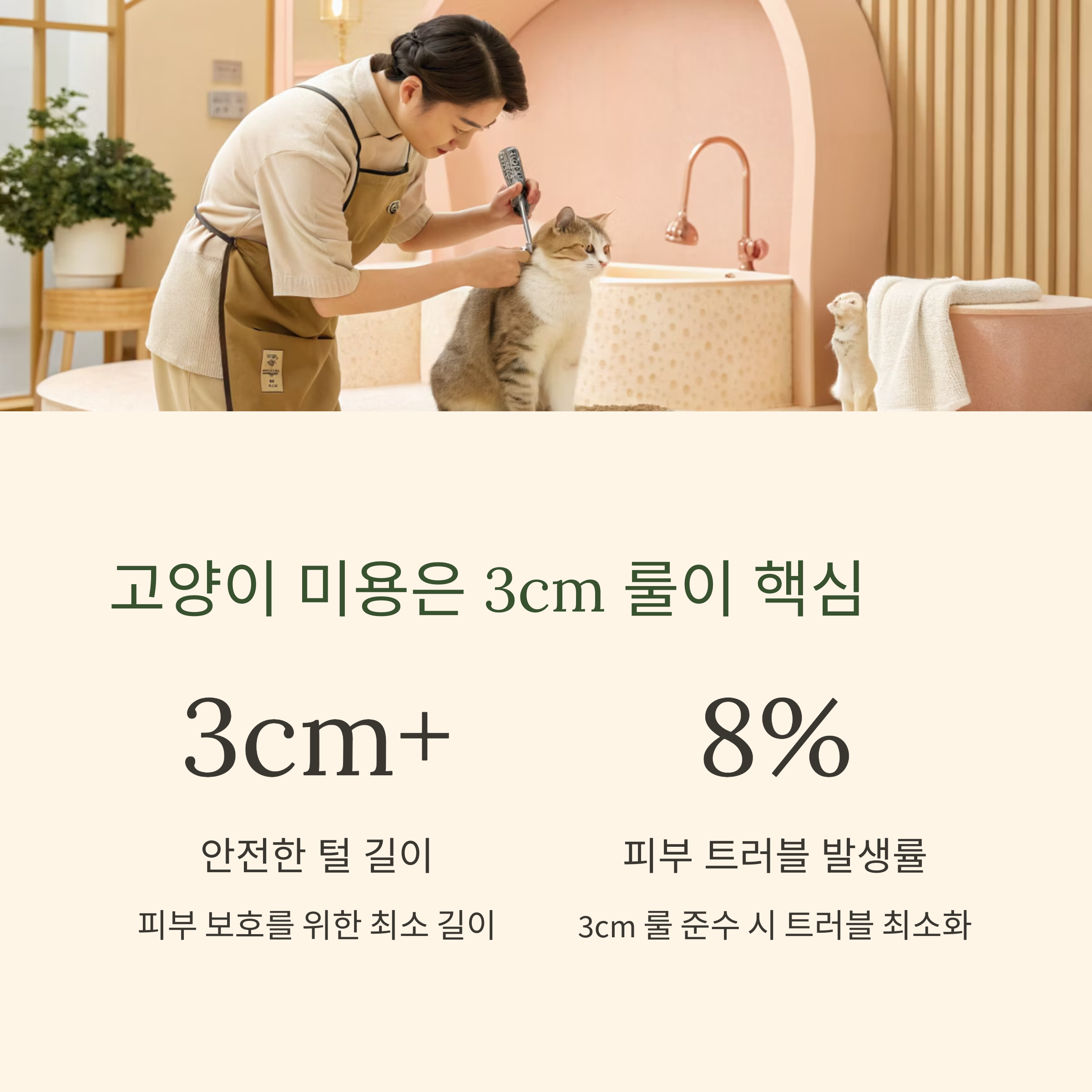 고양이 미용은 3CM 룰이 핵심