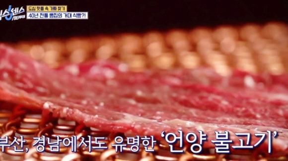 식스센스 시티투어 레전드 오브 빵 &ndash; 50cm 자이언트 식빵, 부산 빵지순례 옵스
