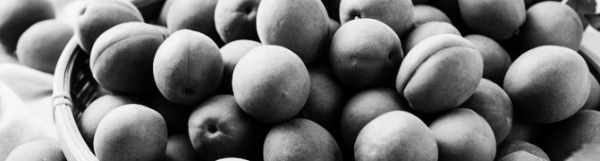 매실 수확시기, 매실 따는시기: 5월 말 ~ 6월 초