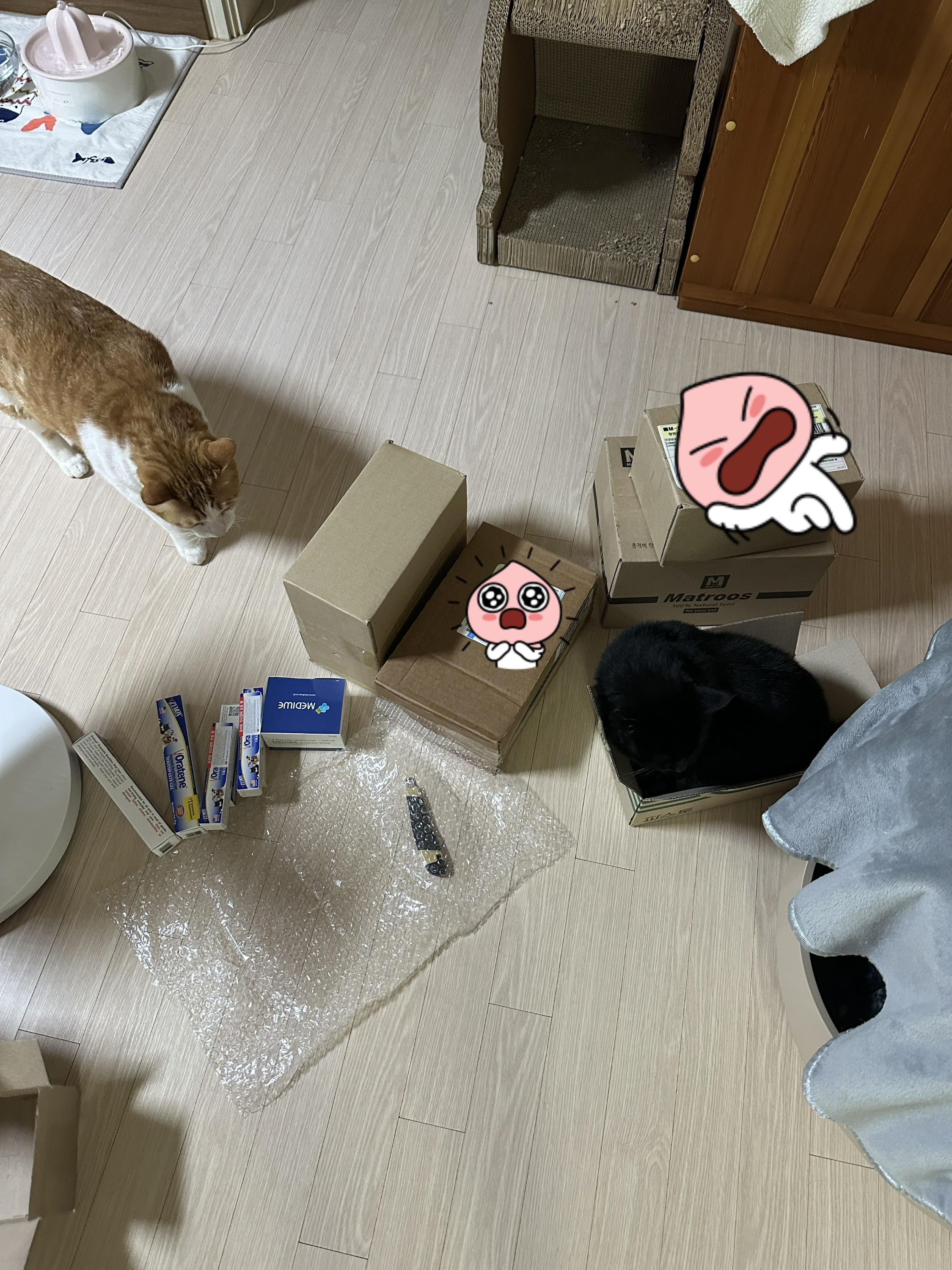 9냥이네_고양이_용품_간식_택배_정리