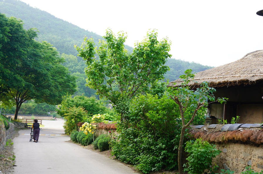 경주 황리단길 옆, 관광객 모르는 조용한 고택 산책길