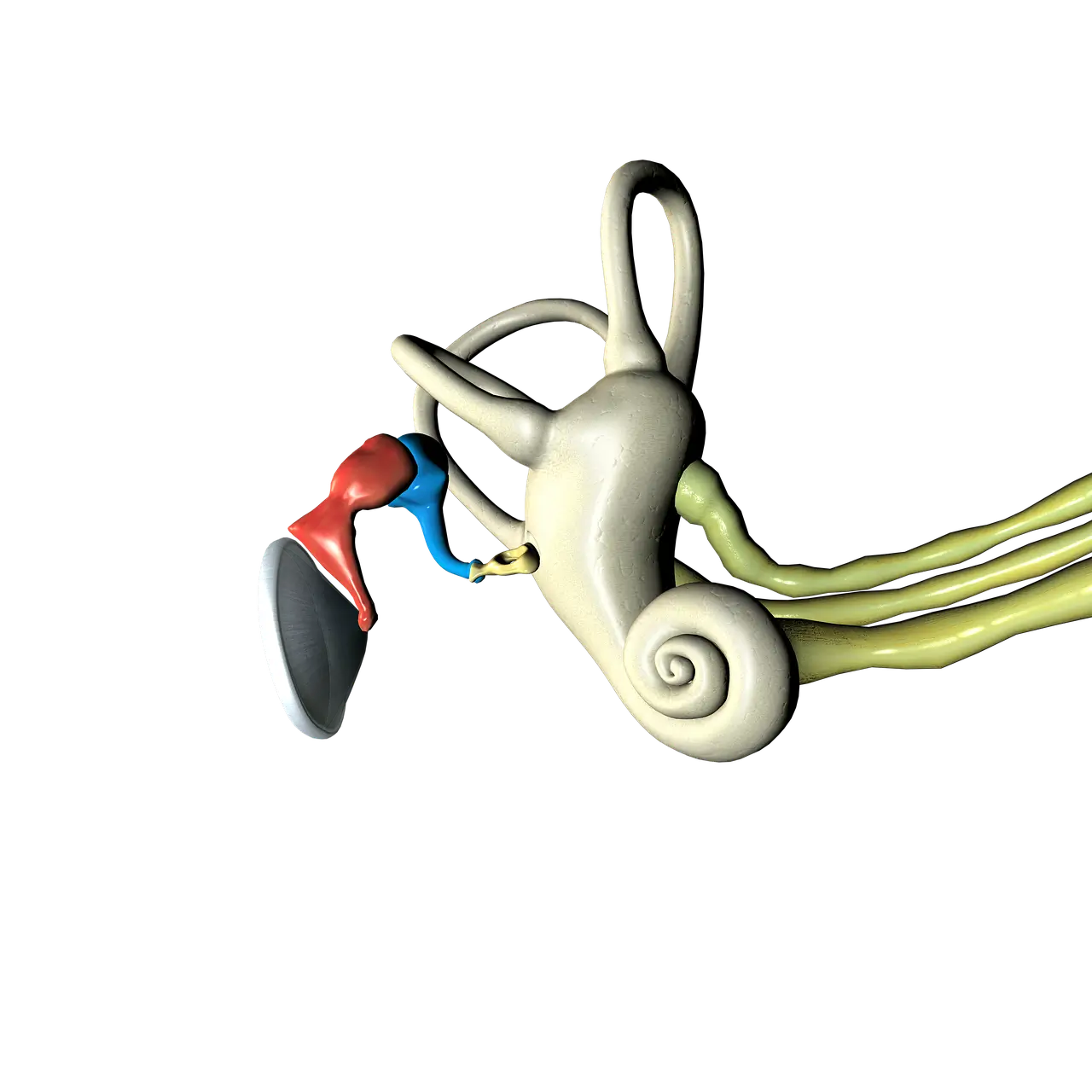 보청기 지원금 신청 및 자격 총정리