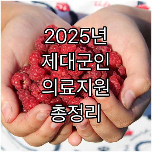 2025년 달라지는 제대군인 의료지원..