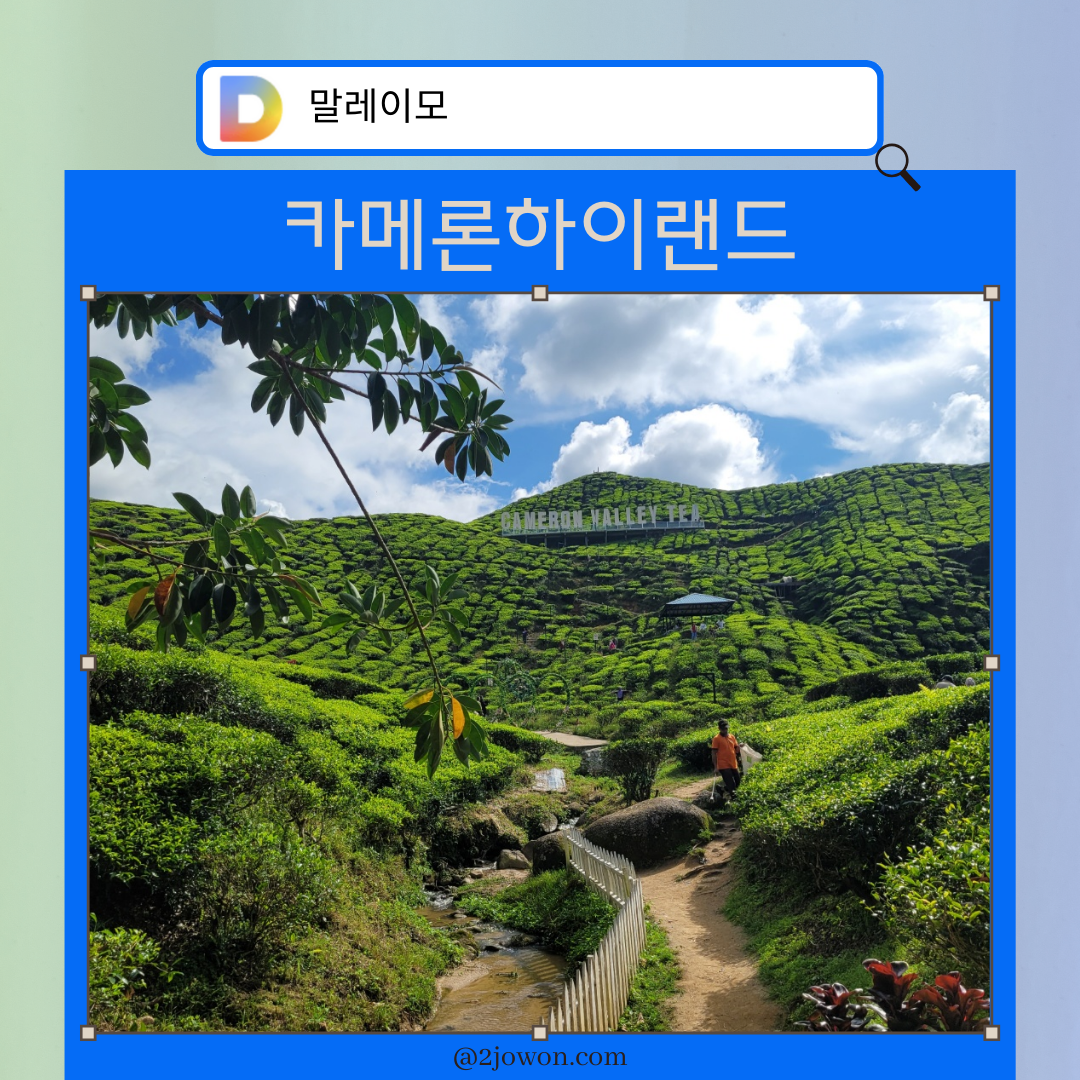 카메론하이랜드