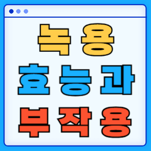 녹용 효능과 부작용
