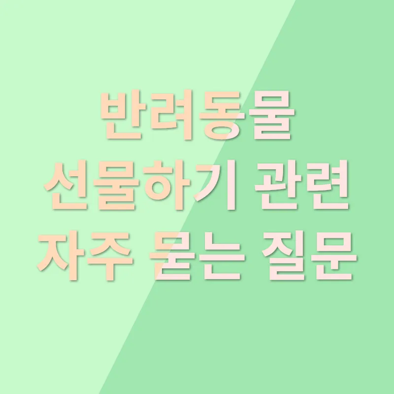 반려동물 선물하기_4