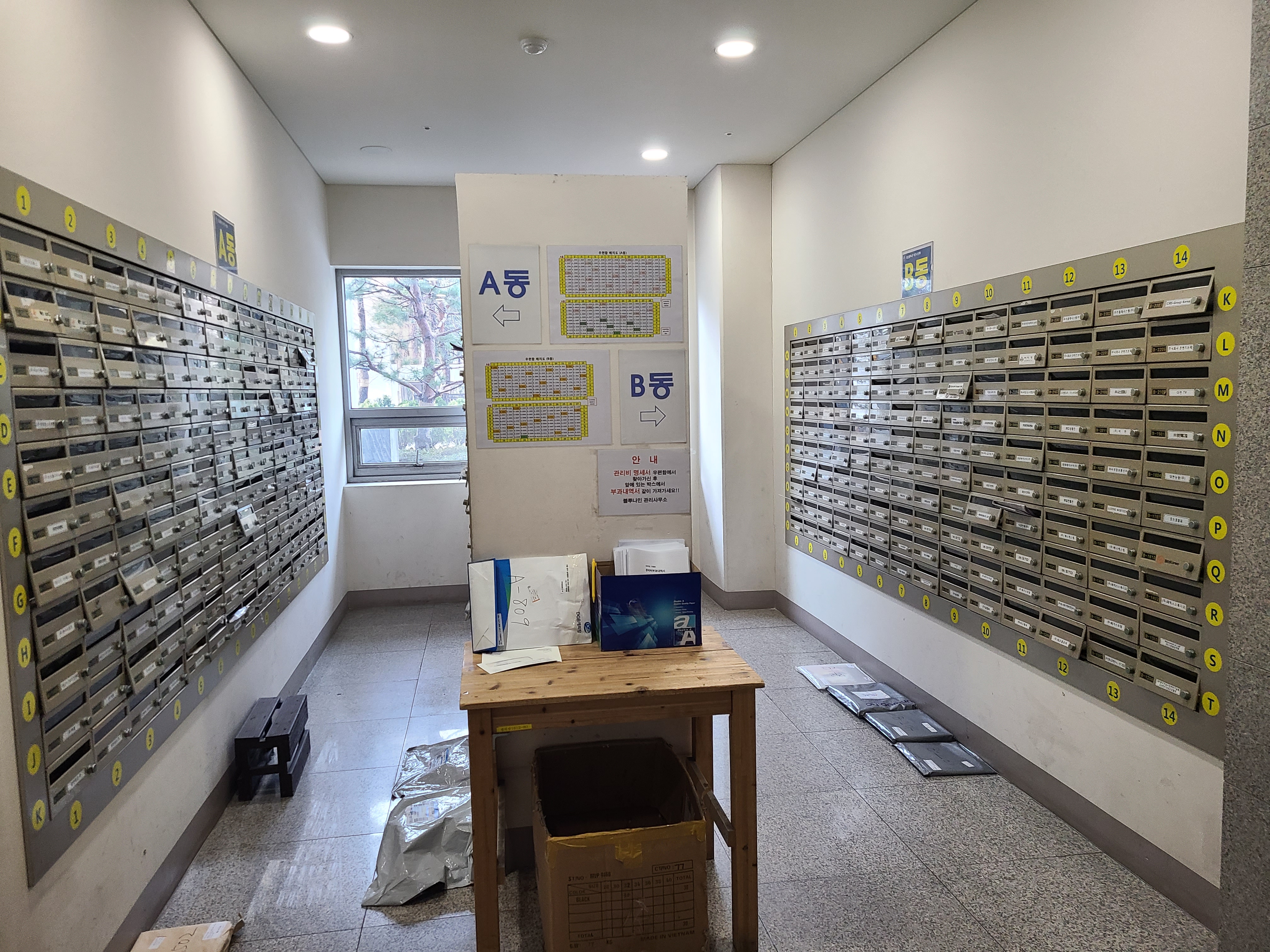 우림블루나인40