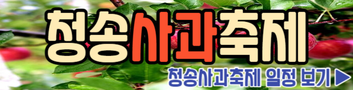청송사과축제 일정 보기