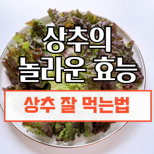 상추의효능, 먹는법