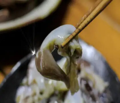 남당항새조개-홍천가볼만한곳