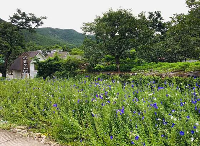 운문물소리펜션