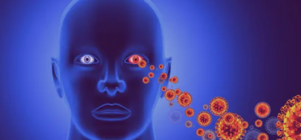 A형 감염과 관련된 사진