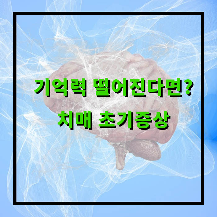 치매 초기 증상 8가지, 원인, 예방